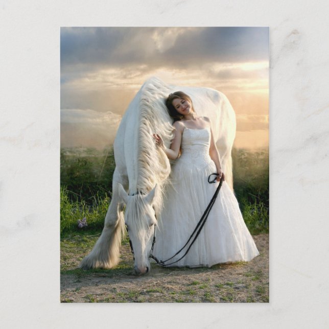 Weißes Pferd mit Bride Postkarte (Vorderseite)