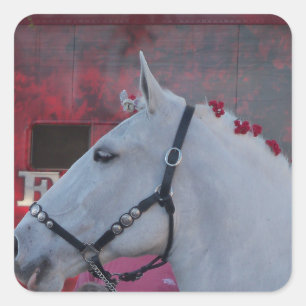 Weißes Pferd mit schwarzer Brille und roter Blume Quadratischer Aufkleber