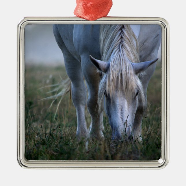 Weißes Pferd Ornament Aus Metall (Vorne)