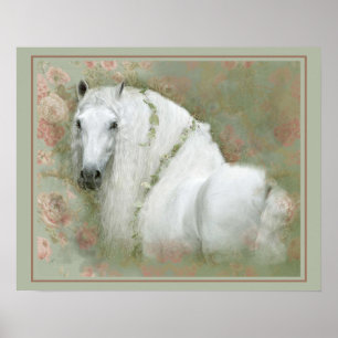 Weißes Pferd - Plakat