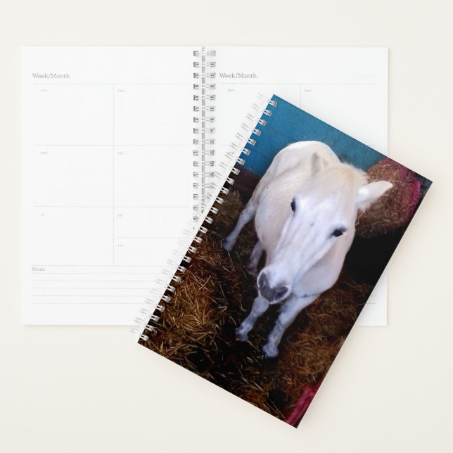 Weißes Pferd Planer (Anzeige)