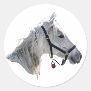 Weißes Pferd Runder Aufkleber