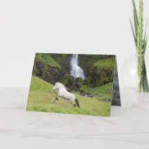 Weißes Pferd und die Grußkarte des Wasserfallpferd