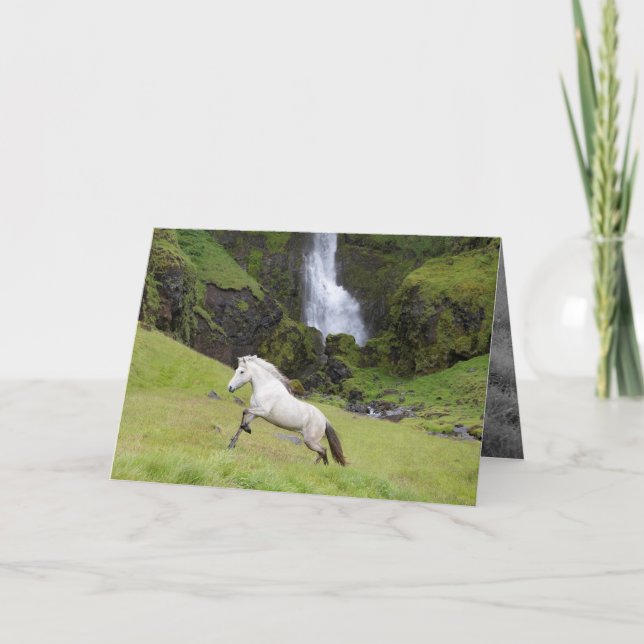 Weißes Pferd und die Grußkarte des Wasserfallpferd Karte (Vorderseite)