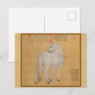Weißes Pferd zurückblickend - Vintage chinesische  Postkarte