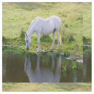 Weißes Pferdetrinkwasser-Gewebe Stoff