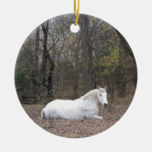 Weißes Pferdeverzierung Keramik Ornament
