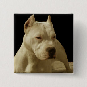 Weißes pitbull button