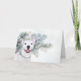 Weißes pitbull Weihnachten