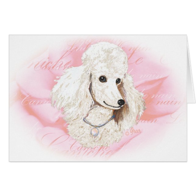 Weißes Poodle n Rose Portrait (Vorderseite (Horizontal))
