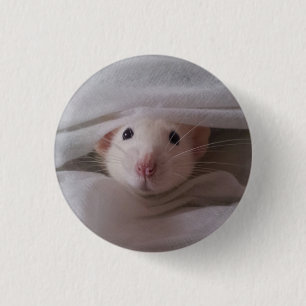 Weißes Ratten-Abzeichen/Knopf Button