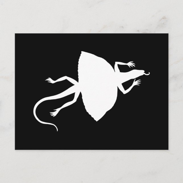 weißes Reptil Postkarte (Vorderseite)