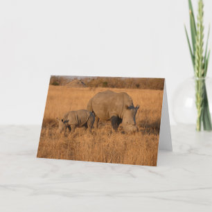 WEIßES RHINO-MUTTER UND KALB  KARTE