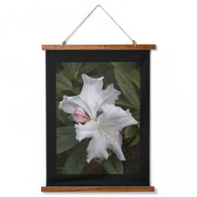 Weißes Rhododendron Blüten mit schwarzer Grenze