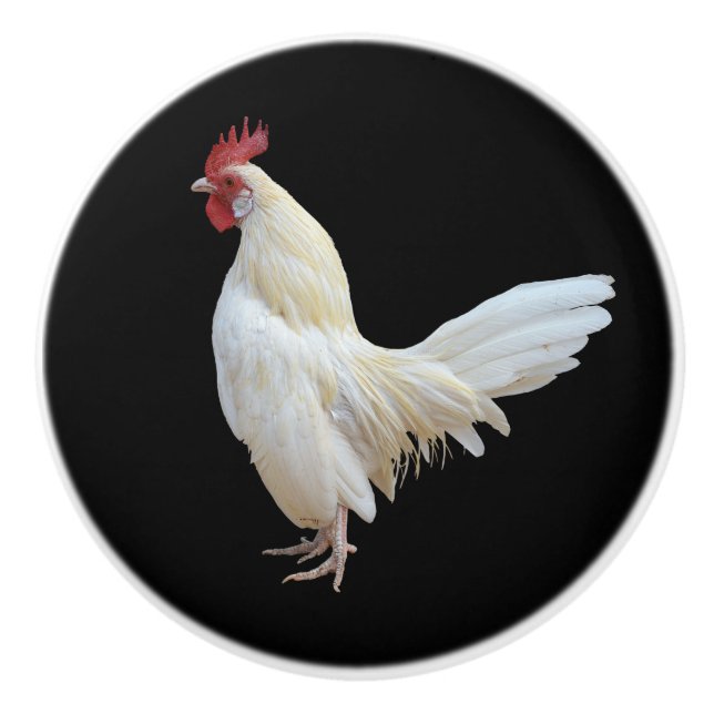 WEISSES ROOSTER* KERAMIKKNAUF (Vorderseite)