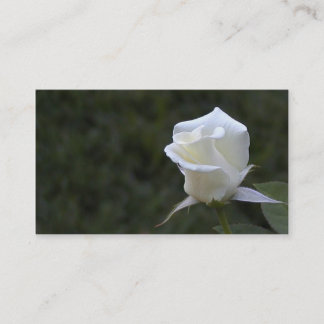 Weißes Rosengeschäft oder -Visitenkarte Visitenkarte