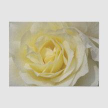 Weißes Rosengewirr