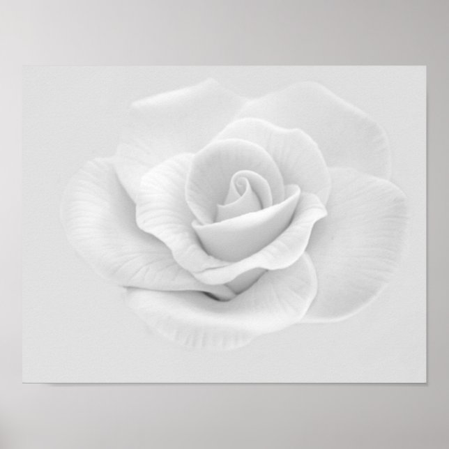Weißes Rosenposter Poster (Vorne)