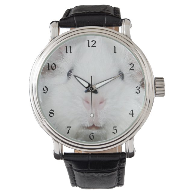 Weißes Schweinegesicht der Guinea Armbanduhr (Vorderseite)