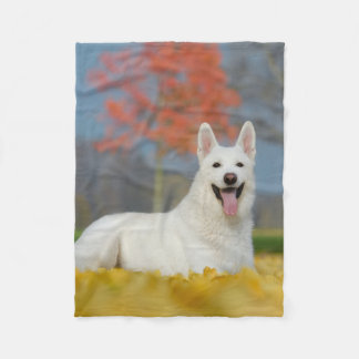 Weißes Schweizer Schäfer-HundeFoto-niedlicher Fleecedecke