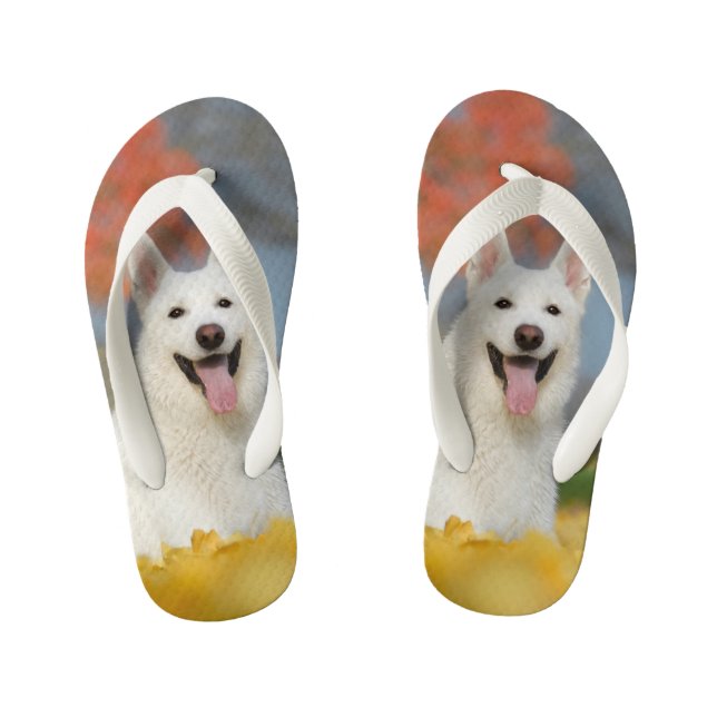 Weißes Schweizer Schäfer-HundeFoto - niedlicher Kinderbadesandalen (Fußbett)