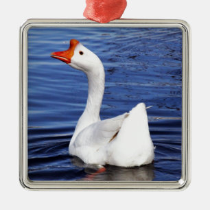 Weißes Schwimmgänse in blauem Wasser Silbernes Ornament