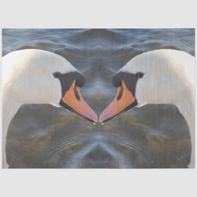 Weißes Swan-Tissue-Papier Seidenpapier (Vorderseite)
