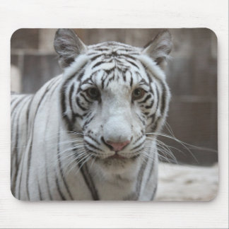Weißes Tiger mousepad