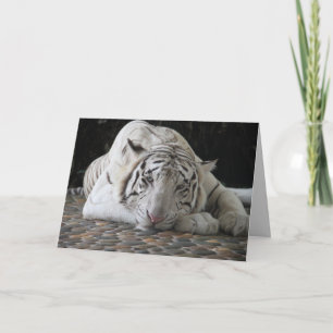 WEISSES TIGER NICKERCHEN, ESSEN KUCHEN, GEBURTSTAG KARTE