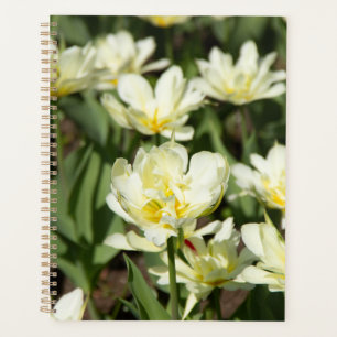 Weißes Tulpen-Foto Planer