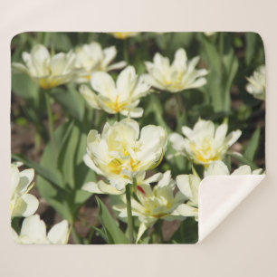 Weißes Tulpen-Foto Sherpadecke