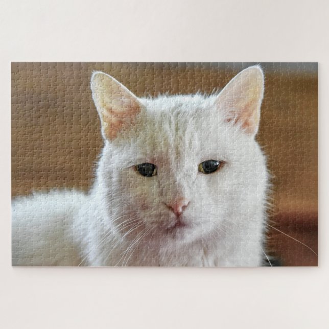 Weißes Türkisches Angora Katapult (Horizontal)