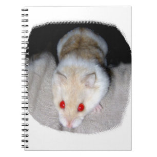 Weißes und blondes Albinohamsterbild Notizblock