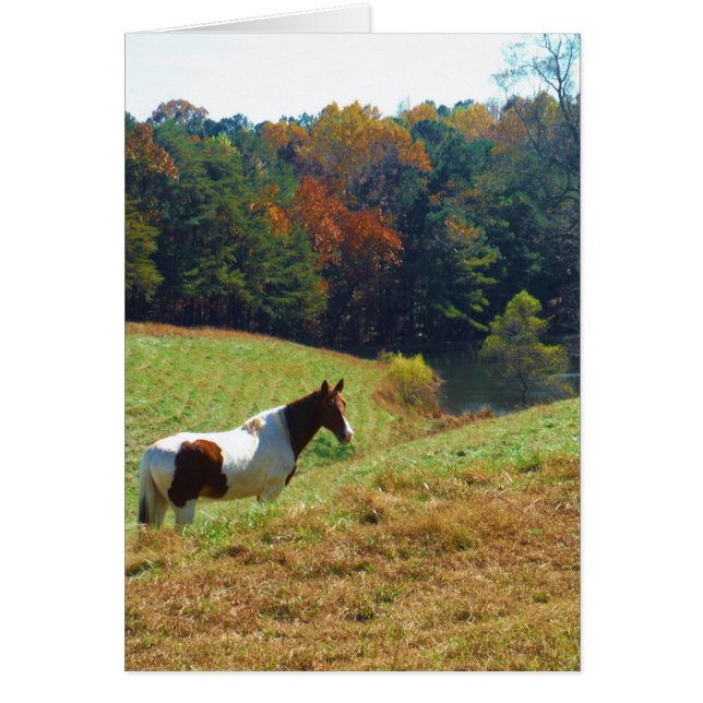 Weißes und braunes Pferd, Herbstteich (Vorne)