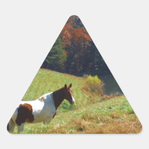 Weißes und braunes Pferd, Herbstteich Dreieckiger Aufkleber