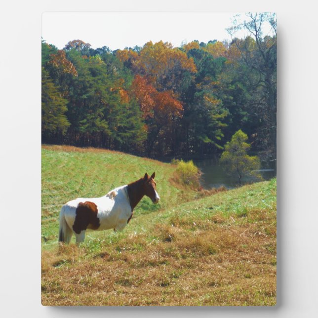 Weißes und braunes Pferd, Herbstteich Fotoplatte (Vorderseite)