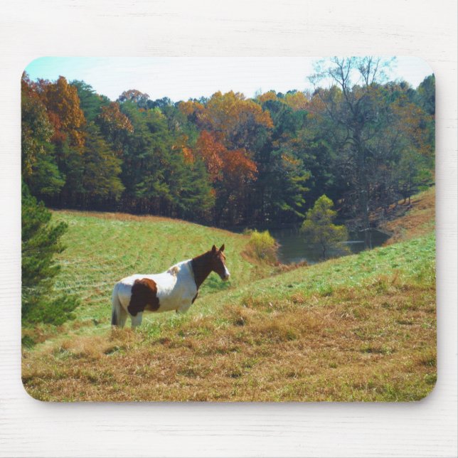 Weißes und braunes Pferd, Herbstteich Mousepad (Vorne)
