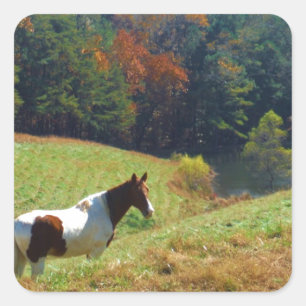 Weißes und braunes Pferd, Herbstteich Quadratischer Aufkleber