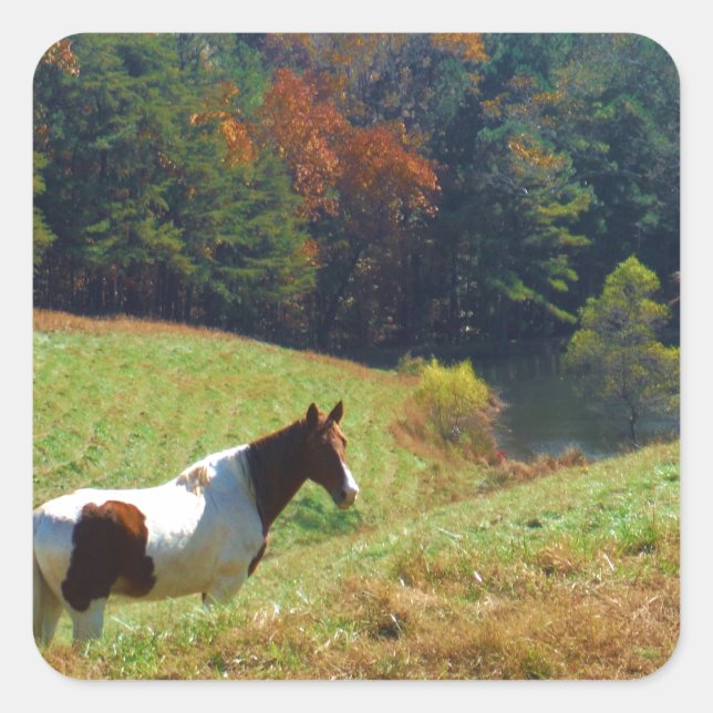 Weißes und braunes Pferd, Herbstteich Quadratischer Aufkleber (Vorderseite)