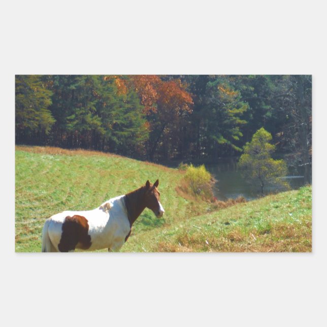 Weißes und braunes Pferd, Herbstteich Rechteckiger Aufkleber (Vorderseite)