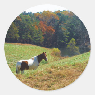 Weißes und braunes Pferd, Herbstteich Runder Aufkleber