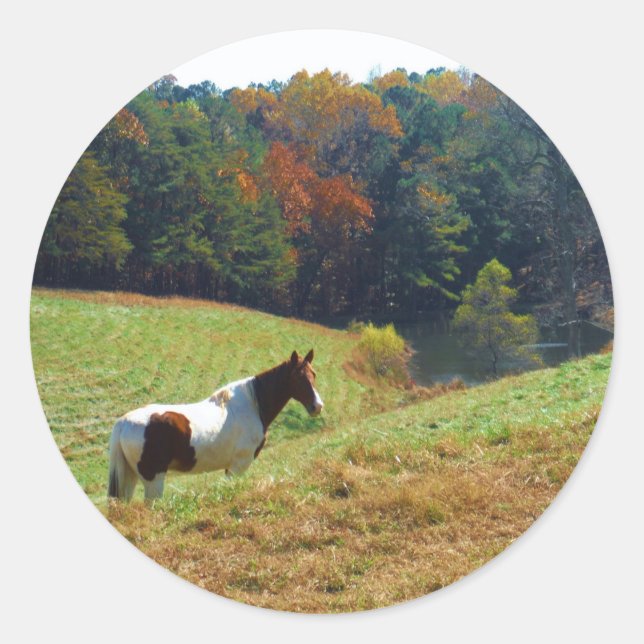 Weißes und braunes Pferd, Herbstteich Runder Aufkleber (Vorderseite)