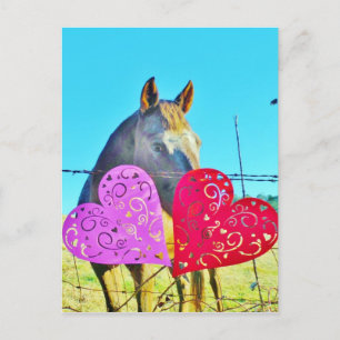 Weißes und braunes Pferd Valentine Hearts Feiertagspostkarte