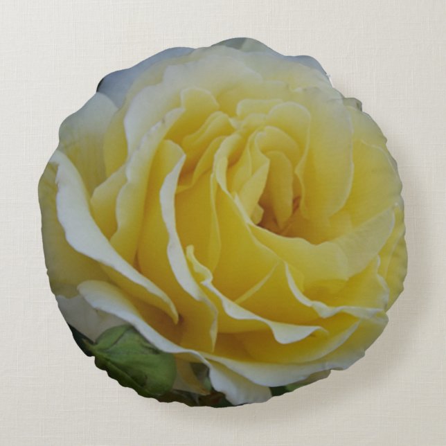Weißes und gelbes Rosenwirbel Kissen (Rückseite)