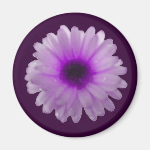 Weißes und Lila Marigold Magnet