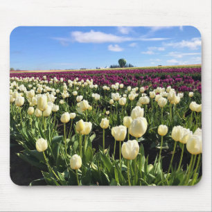 Weißes und Lila Tulip-Feld mit Heißluftballon Mousepad