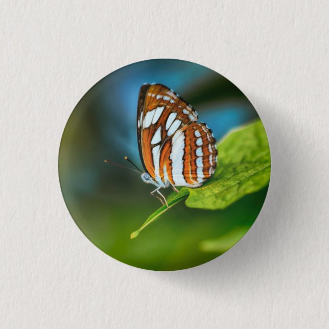 Weißes und orangefarbenes Schmetterling Button (Vorderseite)