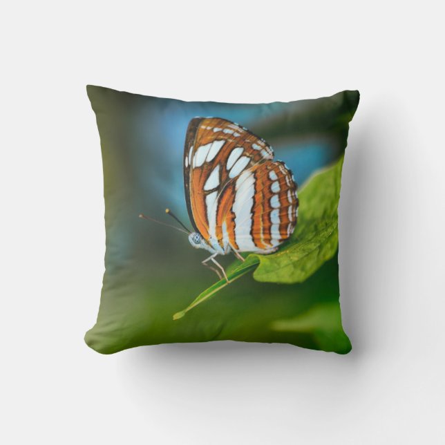 Weißes und orangefarbenes Schmetterling Kissen (Vorderseite)