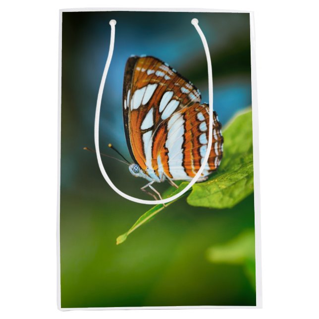Weißes und orangefarbenes Schmetterling Mittlere Geschenktüte (Vorderseite)