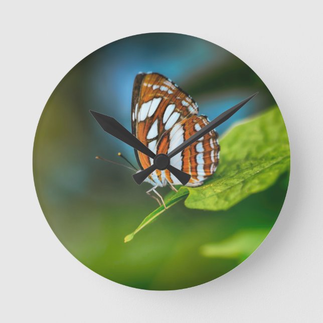 Weißes und orangefarbenes Schmetterling Runde Wanduhr (Vorderseite)